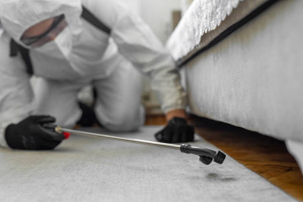 Professional Termite Control technician working in Montague County County, TX